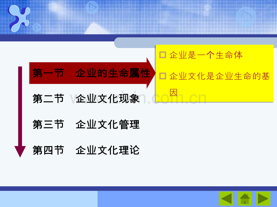 企业文化管理企业文化的基本原理——生命属性和文化现象.pptx_第2页