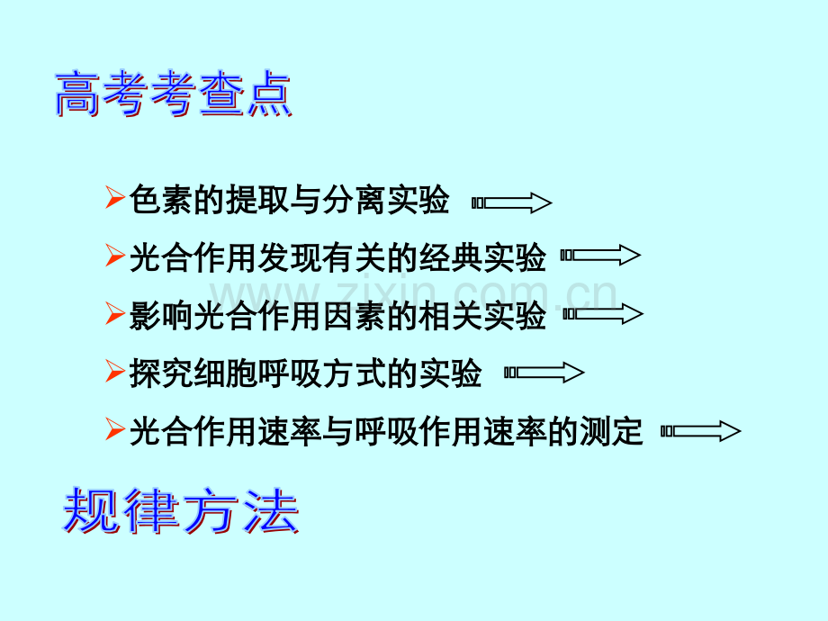 二轮复习光合作用与呼吸作用实验专题分解.pptx_第3页