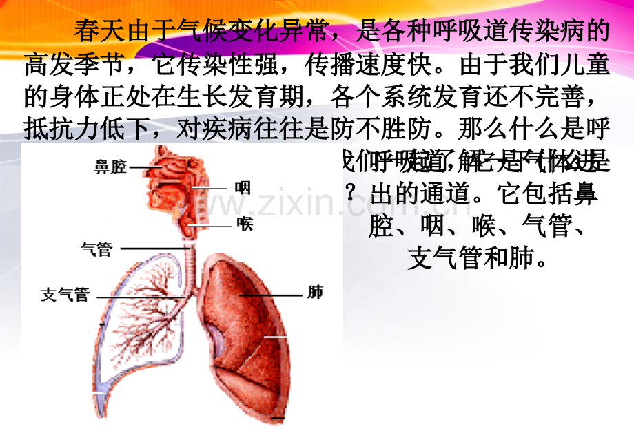 主题班会主题班会春季常见传染病预防知识.pptx_第1页