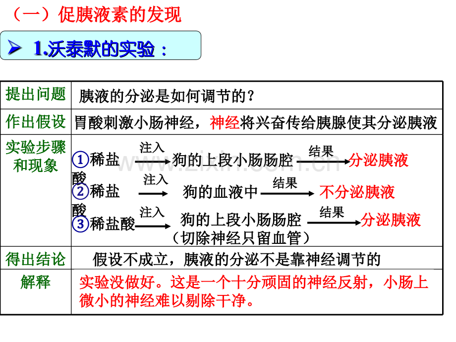 22通过激素的调节.pptx_第3页