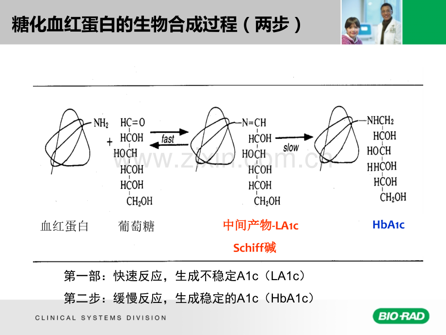 HbAc基础知识培训.pptx_第3页