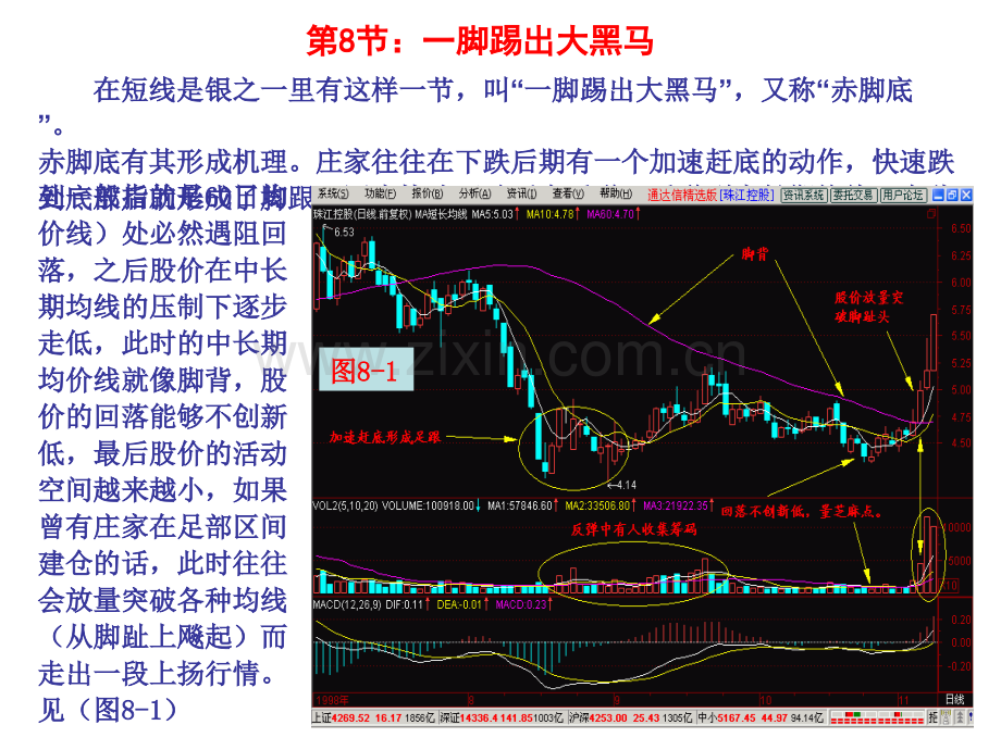 一脚踢出大黑马.pptx_第1页