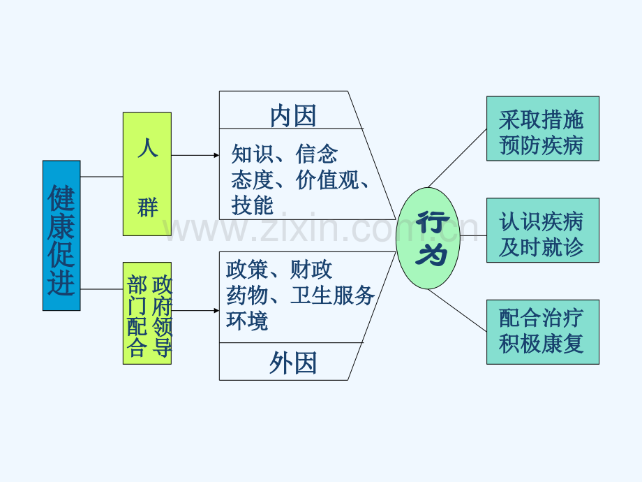 健康促进项目的组织与实施.pptx_第1页