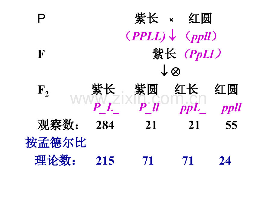 A连锁交换基因作图.pptx_第1页