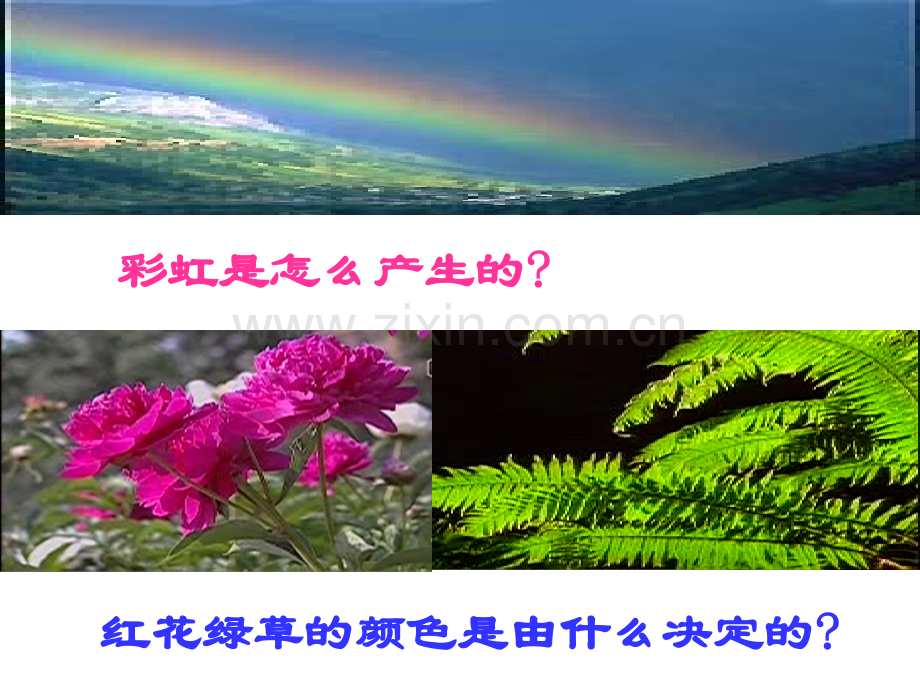 人教版八年级物理上册光的色散.pptx_第2页