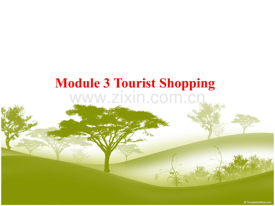 3TouristshoppingPpt.pptx_第1页