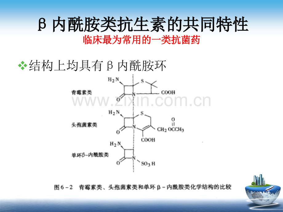 B内酰胺类抗生素的合理使用.pptx_第3页