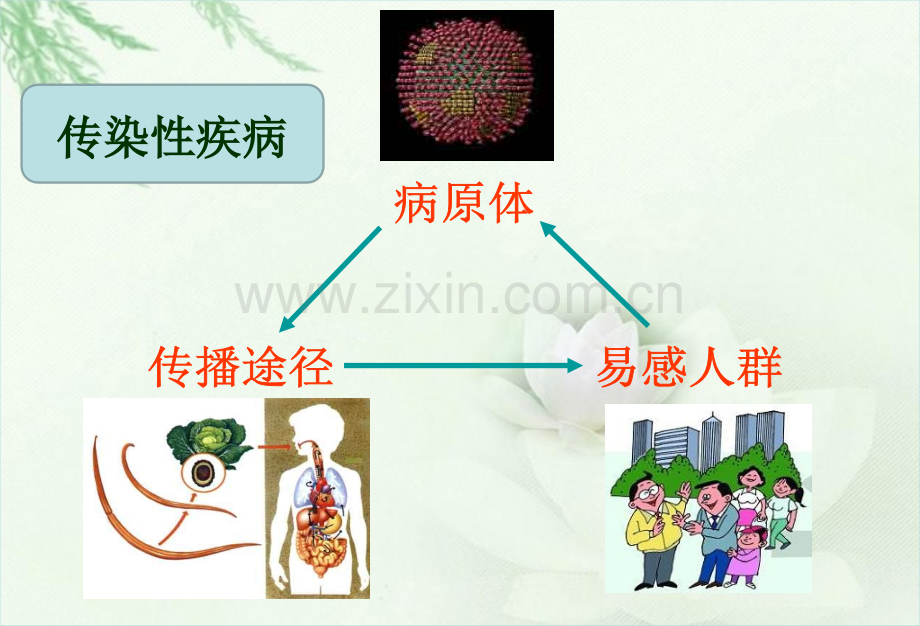 主题班会主题班会常见传染病的预防.pptx_第3页