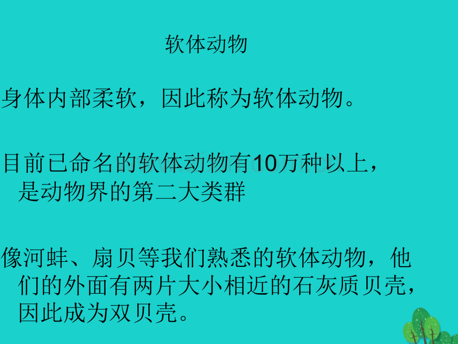 八年级生物上册513软体和节肢动物1新版新人教版.pptx_第3页