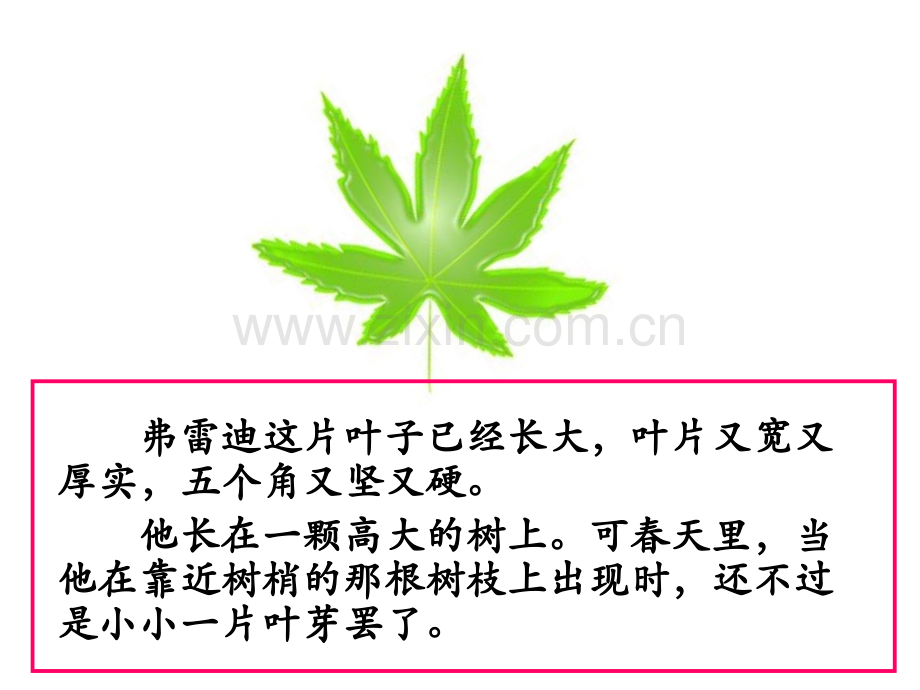 一片叶子落下来.pptx_第2页