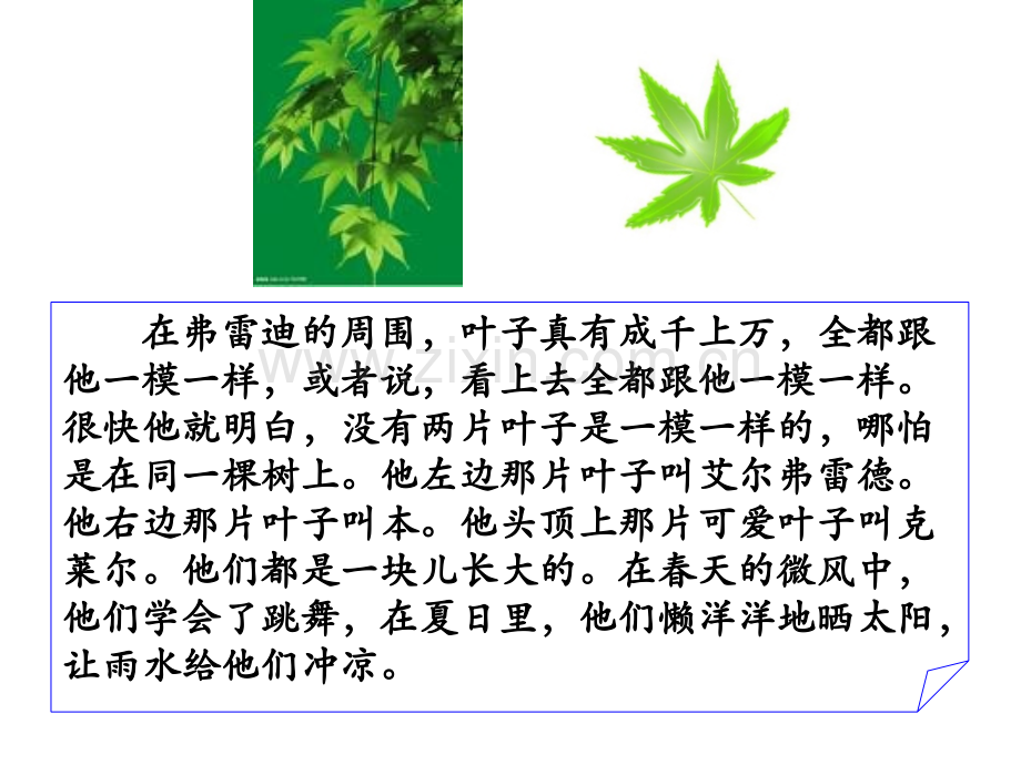 一片叶子落下来.pptx_第3页