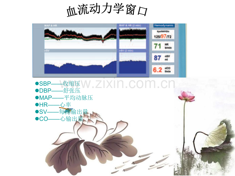 LIDCO产品浅解析.pptx_第2页