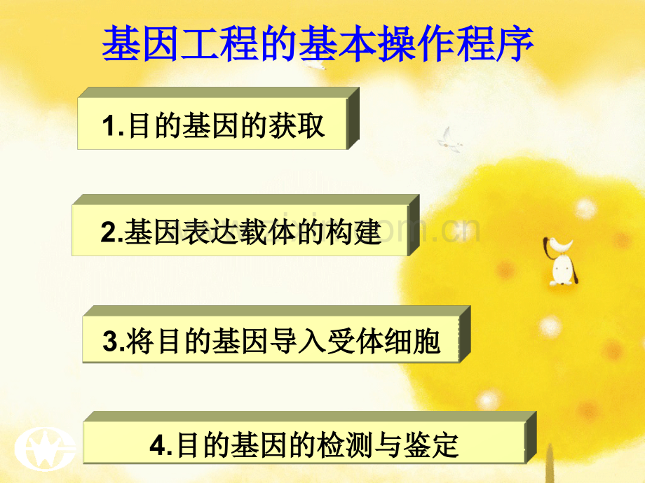 人教版教学名校联盟山东省新泰市第二中学2011生物-12-基因工程的基本操作程序.pptx_第2页