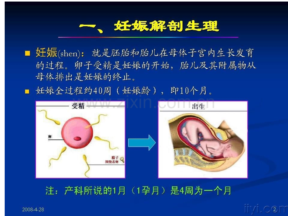 产科超声检查与诊断.pptx_第1页