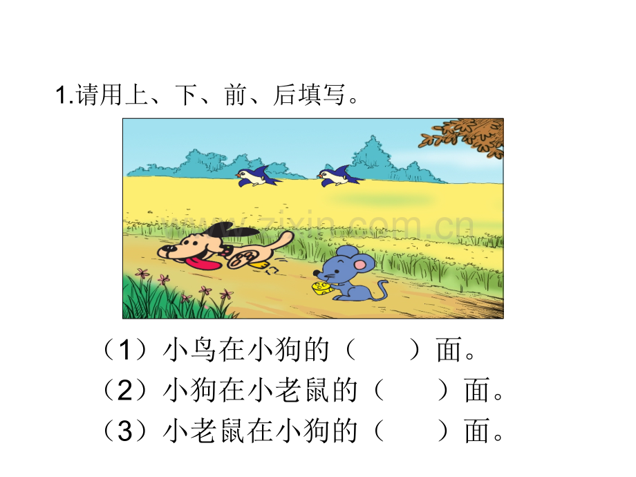 一年级数学位置练习题.pptx_第1页