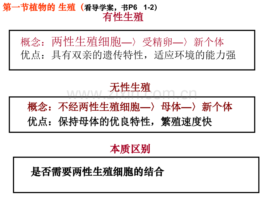 人教版八年级生物下期中复习资料.pptx_第2页