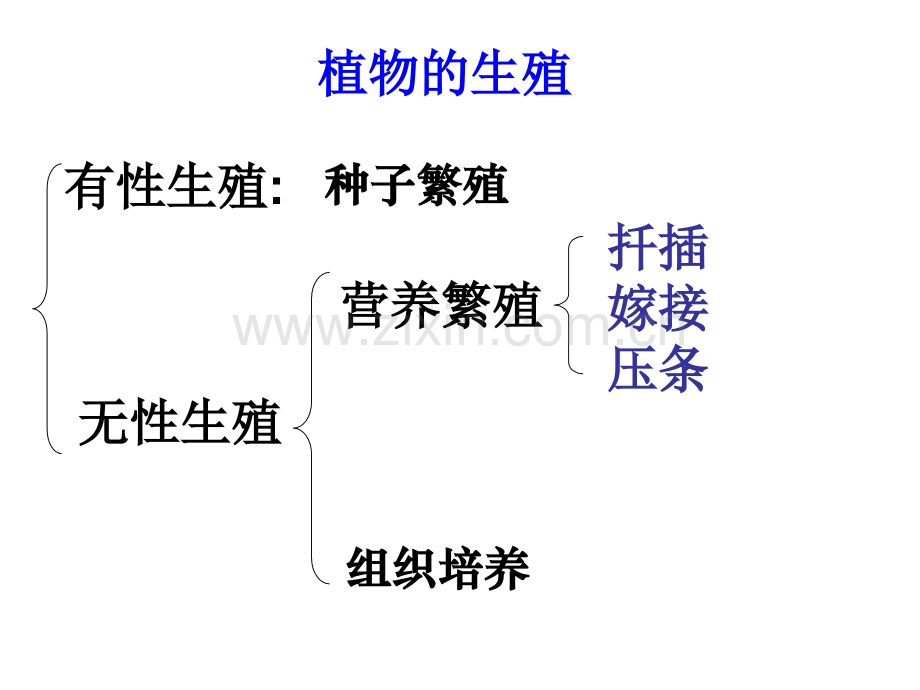 人教版八年级生物下期中复习资料.pptx_第3页