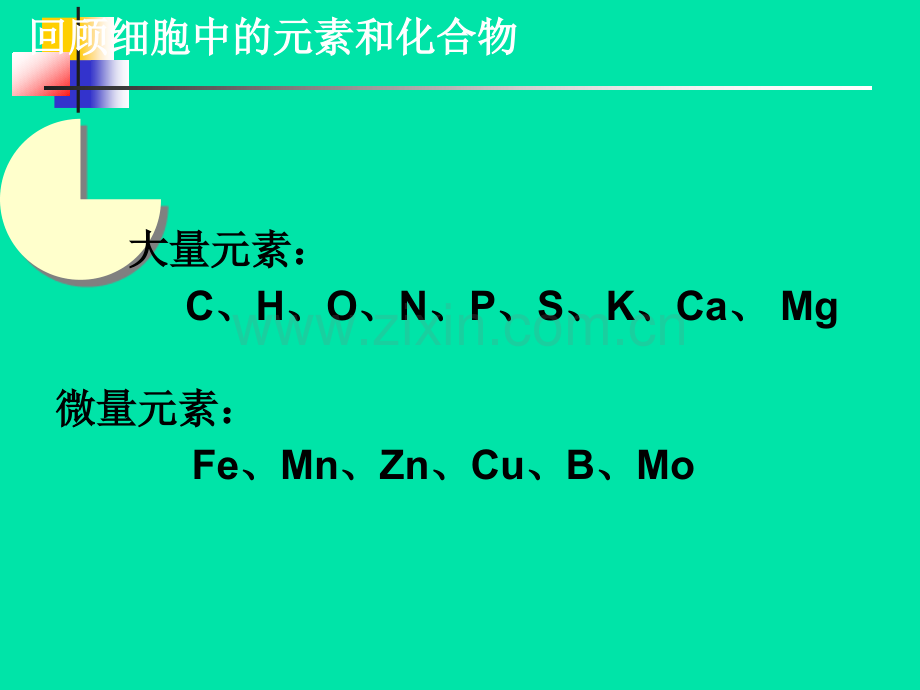 22生命活动的主要承担者蛋白质人教版必修.pptx_第1页