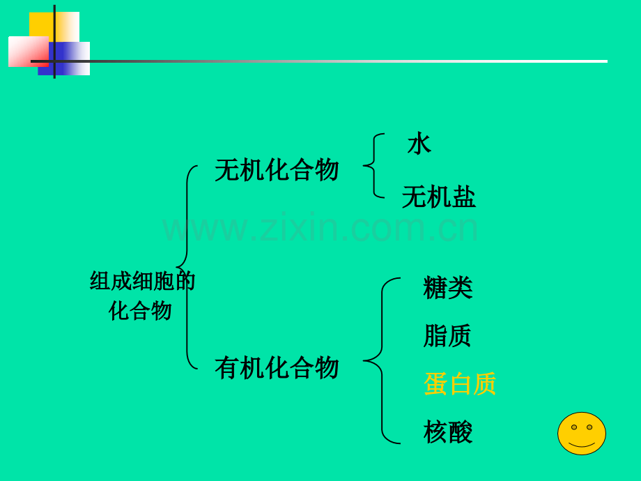 22生命活动的主要承担者蛋白质人教版必修.pptx_第2页