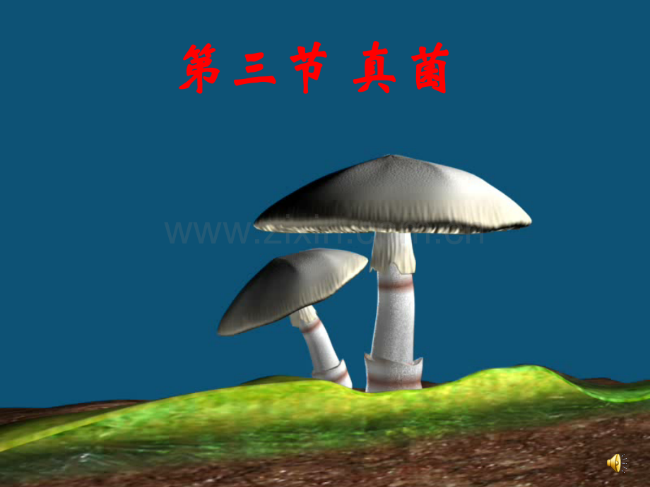 人教八年级生物真菌.pptx_第1页