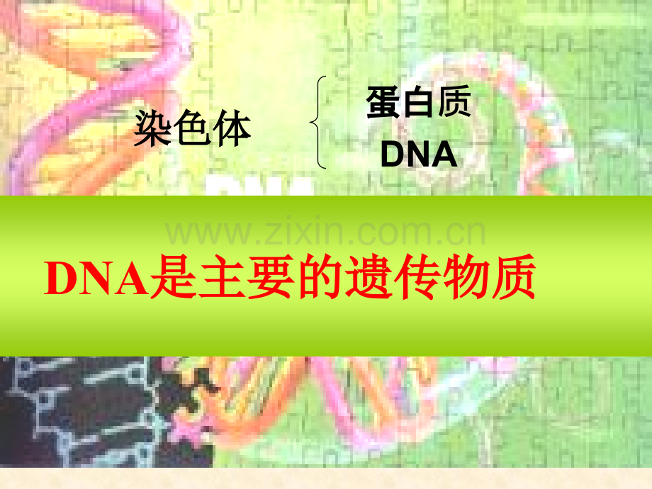 人教版教学陕西省安康市汉滨高级中学高一生物31-DNA是主要的遗传物质.pptx_第2页