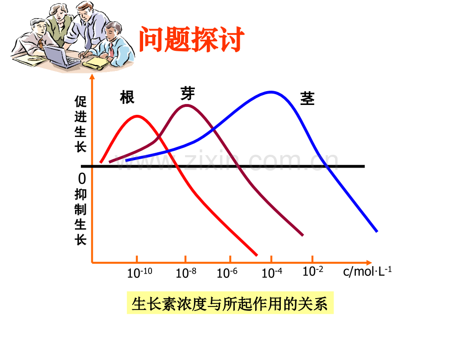 人教版吉林省松原市扶余县第一中学高二生物32生长素生理作用.pptx_第2页