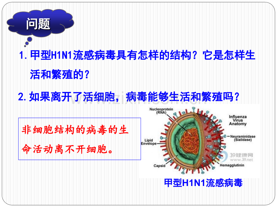 人教版分子与细胞必修.pptx_第3页