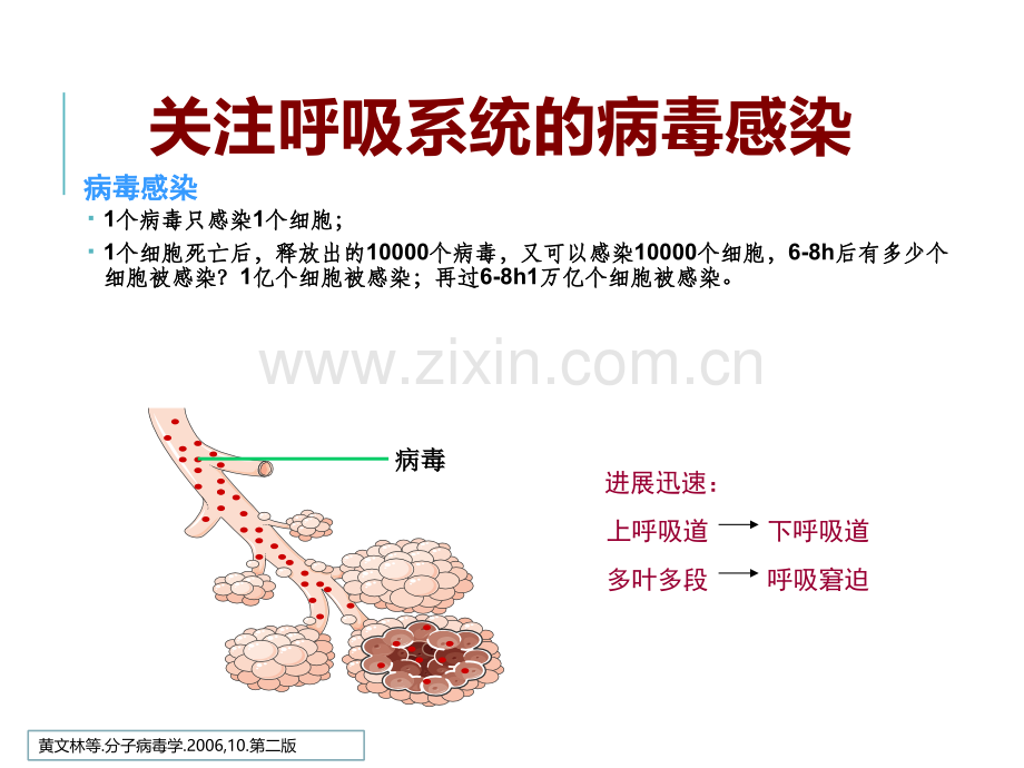 中医学对病毒性呼吸道感染的诊治思路.pptx_第3页