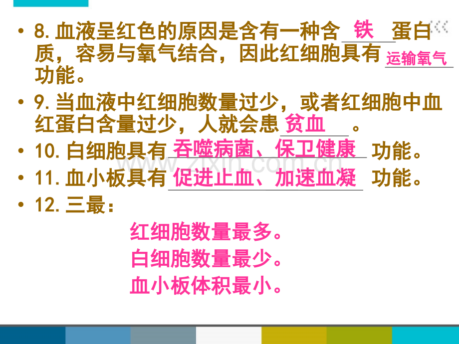 七年级生物下册期末复习题苏教高品质.pptx_第3页