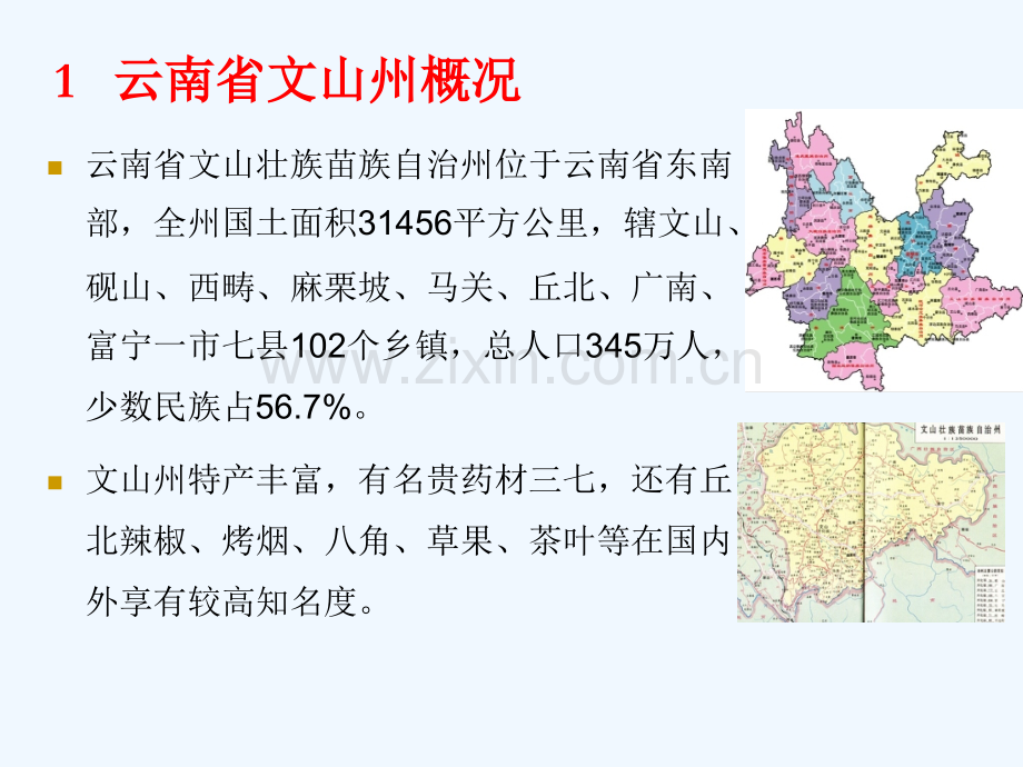 云南省文山州及周边地区辣椒生产情况介绍文山州农科院.pptx_第2页