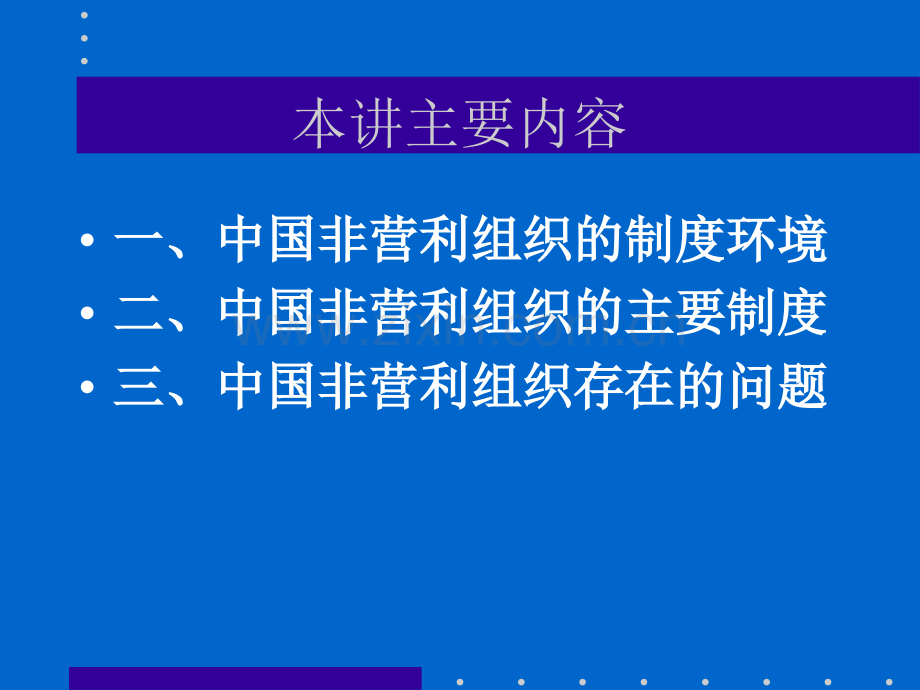 中国非营利组织二.pptx_第2页