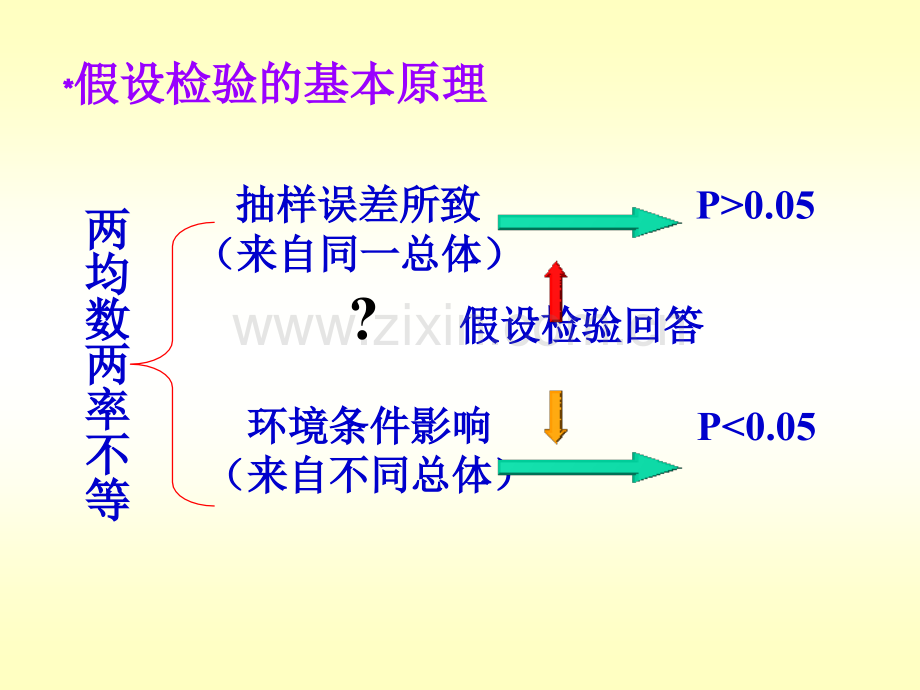 假设检验基础与t检验.pptx_第3页