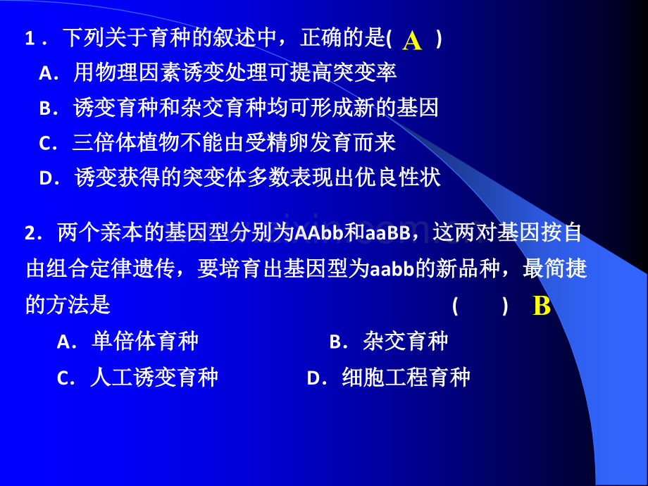 人教版教学-杂交育种与基因工程.pptx_第3页