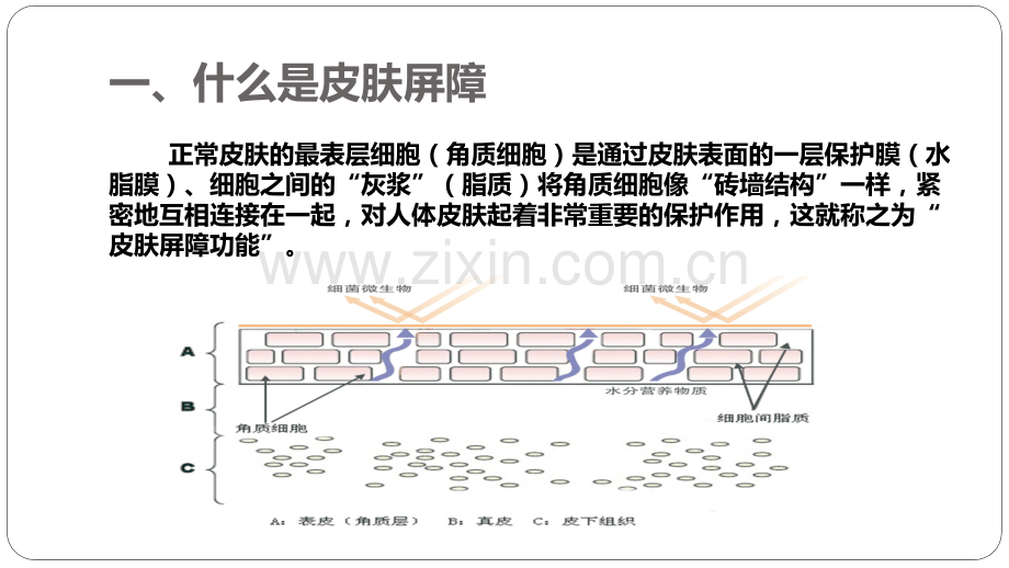 修复皮肤屏障保湿类护肤品应用指南解读.pptx_第3页