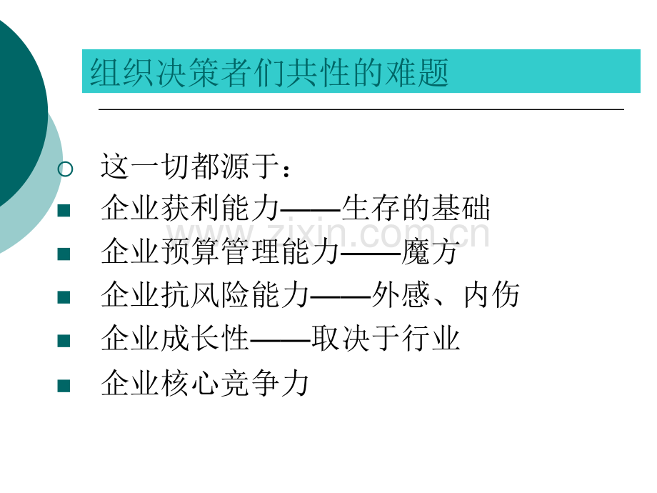 全面预算管理控制.pptx_第3页