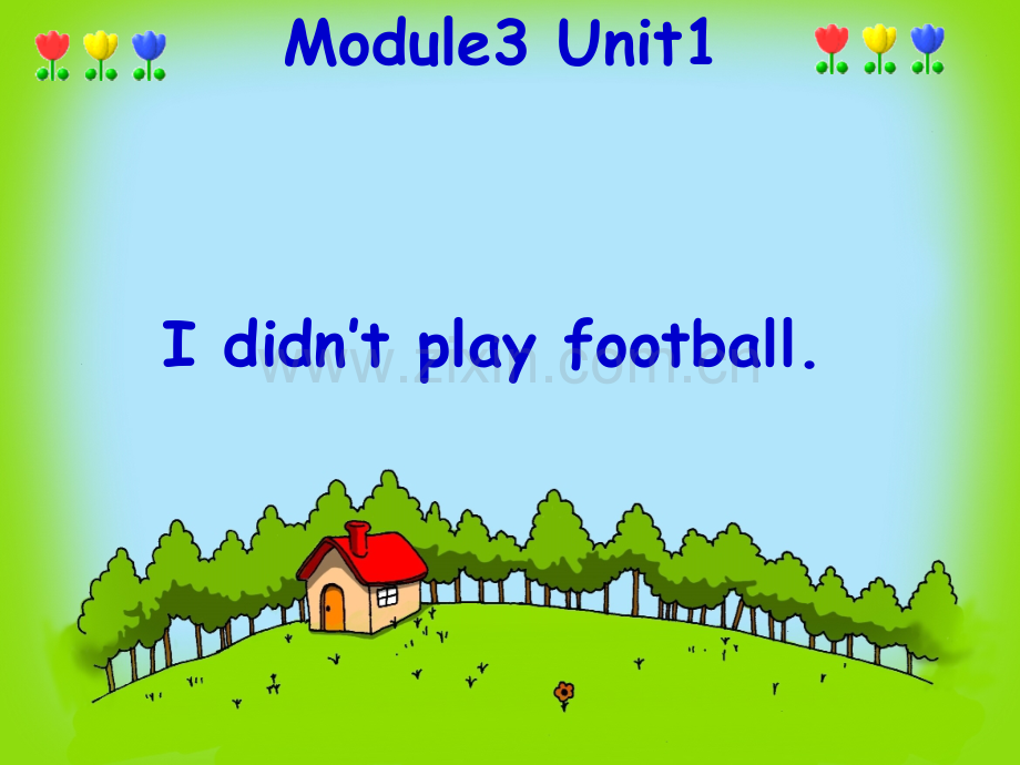 M3U2Ididn'tplayfootball.pptx_第1页