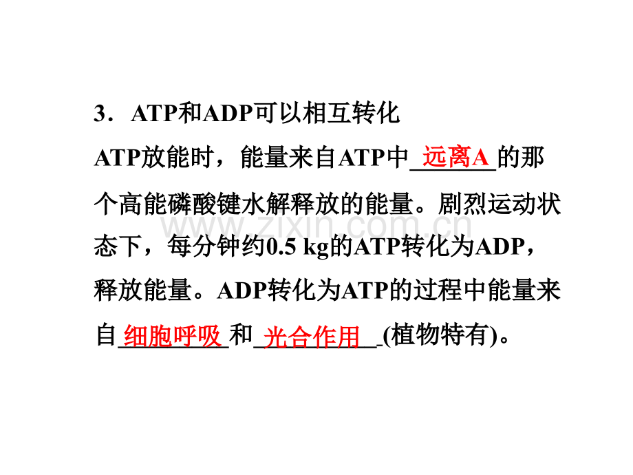 ATP的主要来源—细胞呼吸.pptx_第1页