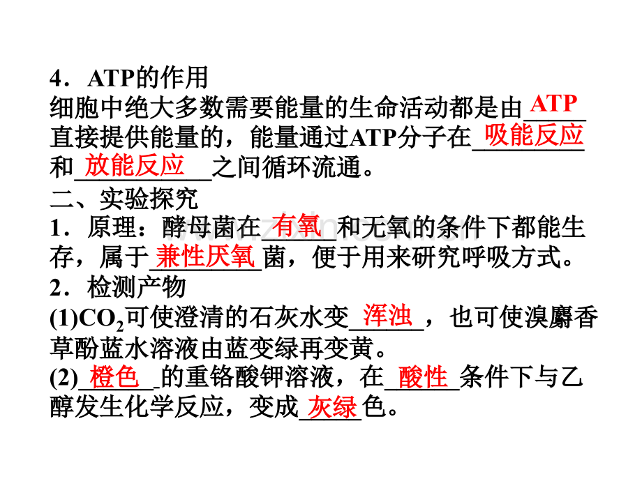 ATP的主要来源—细胞呼吸.pptx_第2页