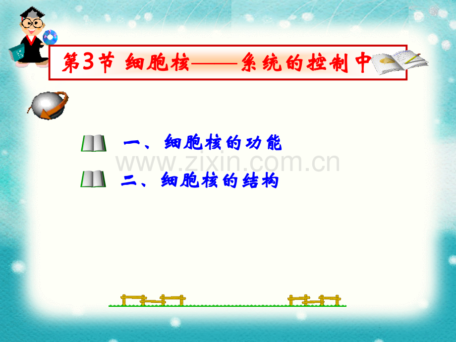 人教版高中生物必修一33细胞核.pptx_第2页