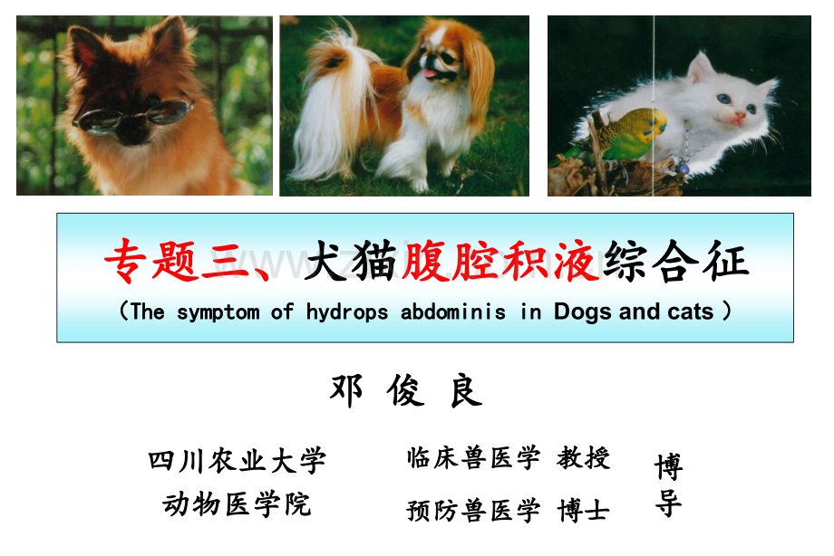 专题三犬猫腹腔积液综合征.pptx_第1页