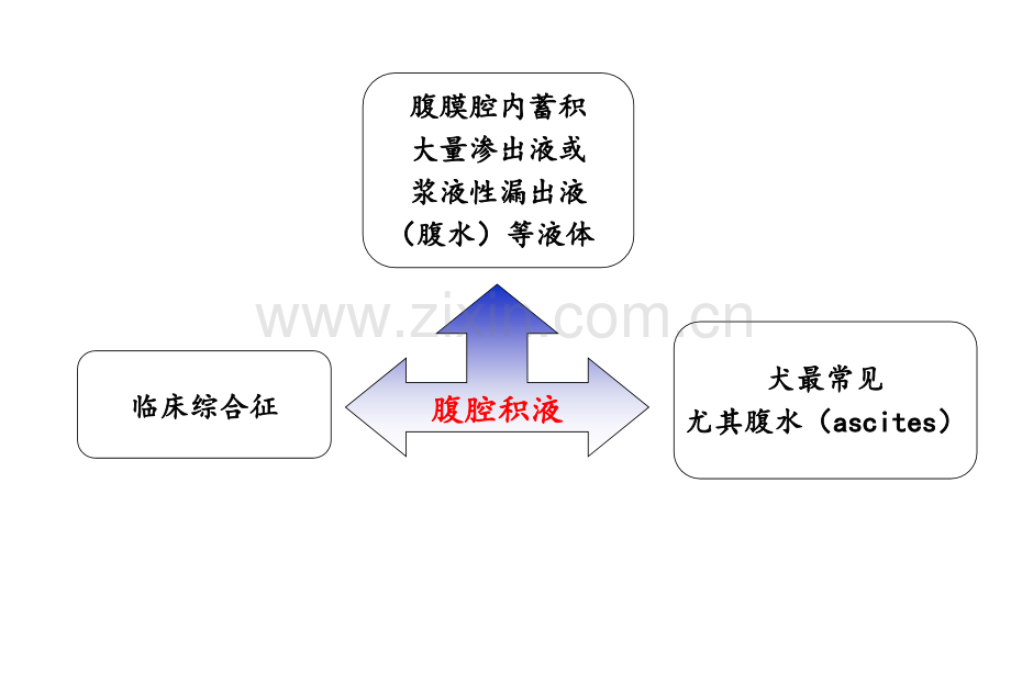 专题三犬猫腹腔积液综合征.pptx_第2页