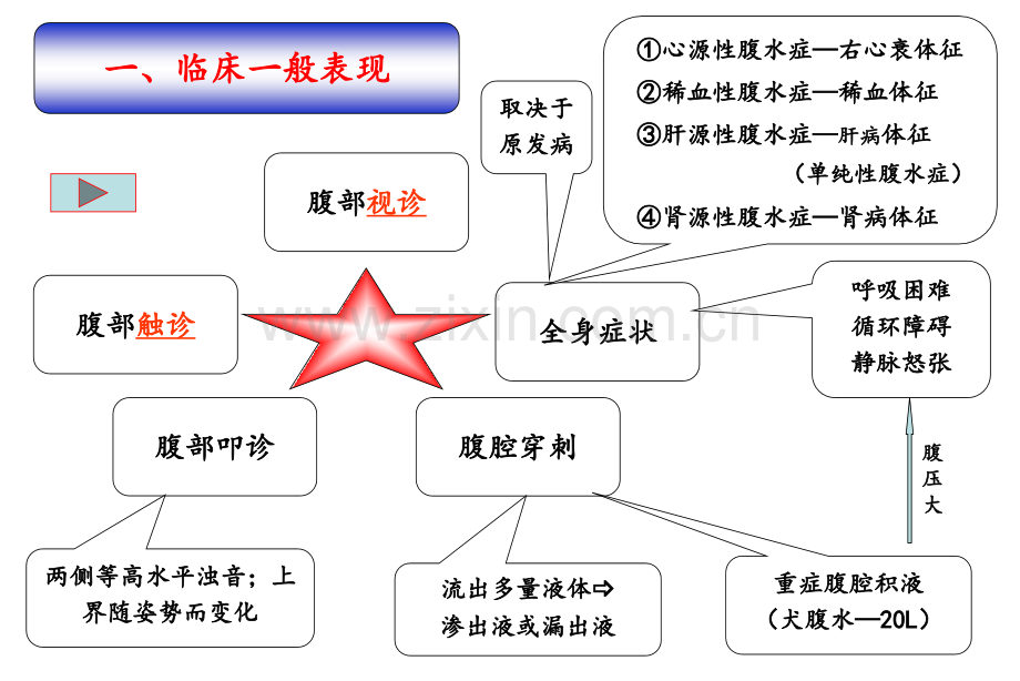 专题三犬猫腹腔积液综合征.pptx_第3页