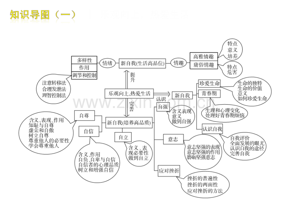 人教版初中政治知识结构图.pptx_第3页