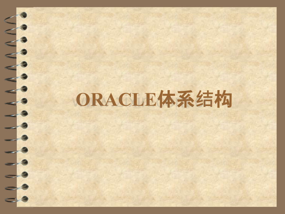 Oracle体系结构.pptx_第1页