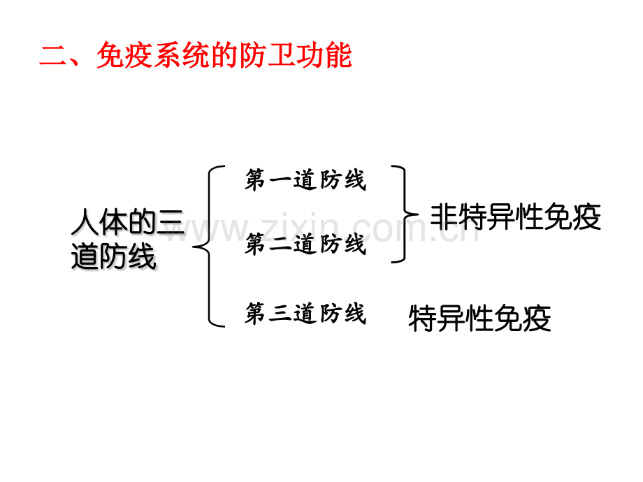 免疫调节--自用.pptx_第2页