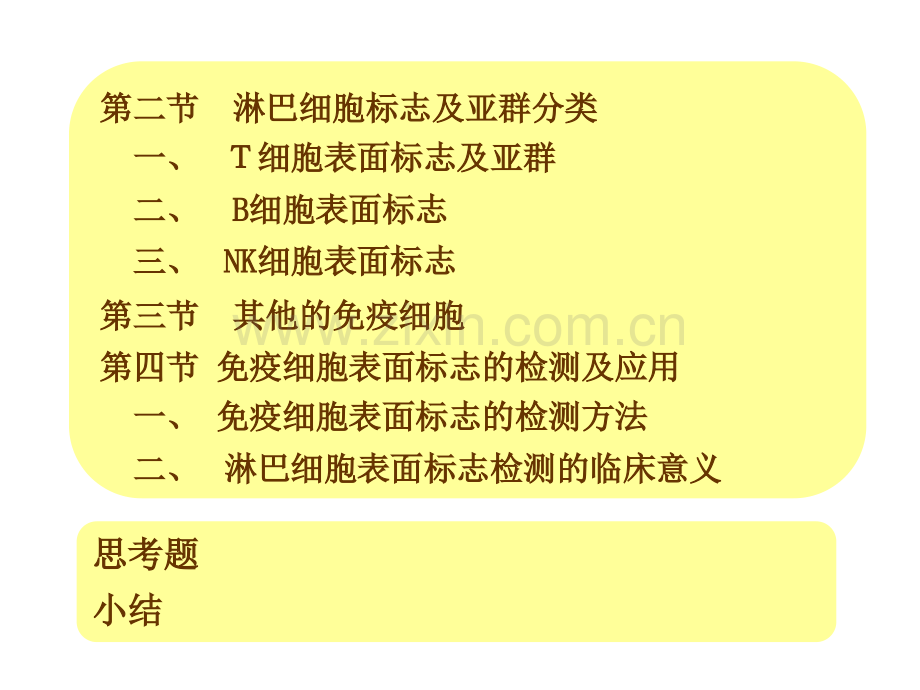 免疫细胞的分离及检测技术.pptx_第2页