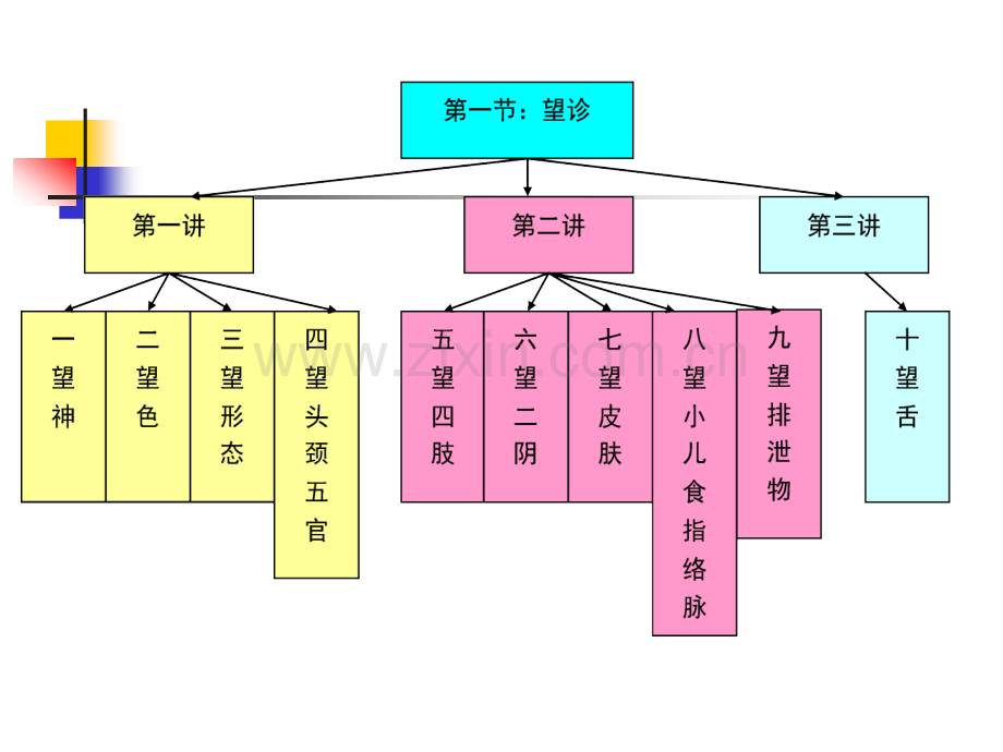 中医学基础诊法望舌.pptx_第2页