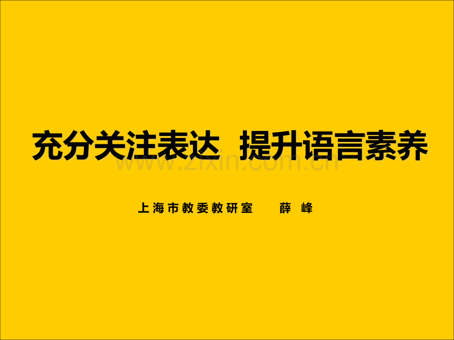 充分关注表达提升语言素养总结.pptx_第1页