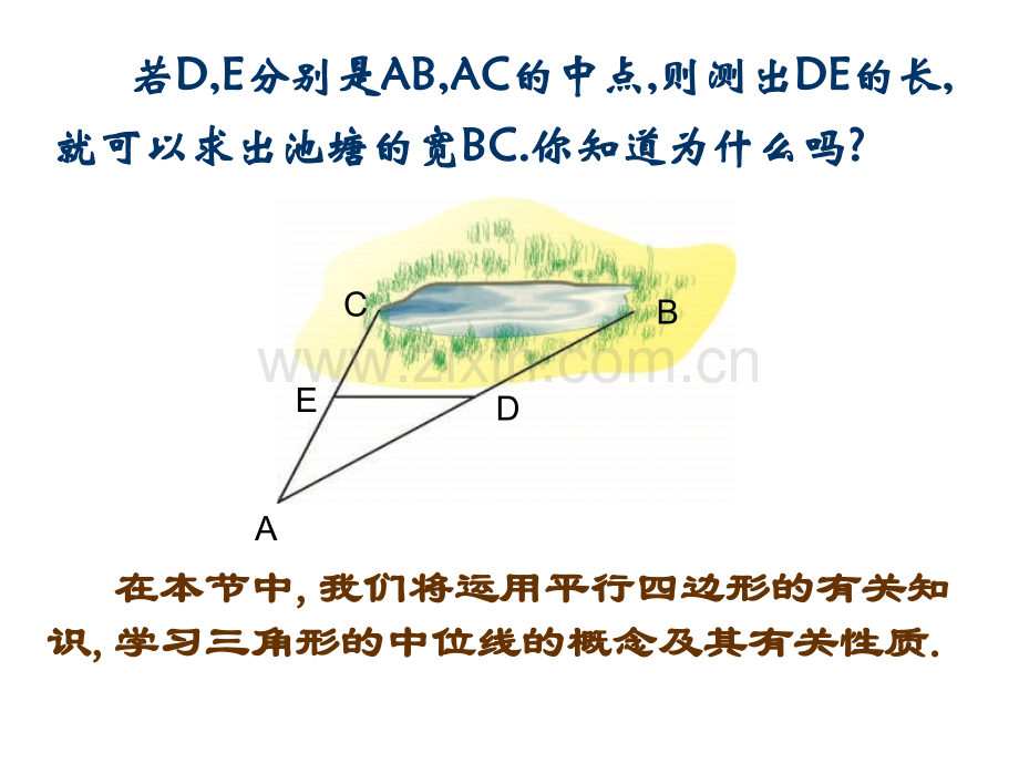 56三角形的中位线.pptx_第3页