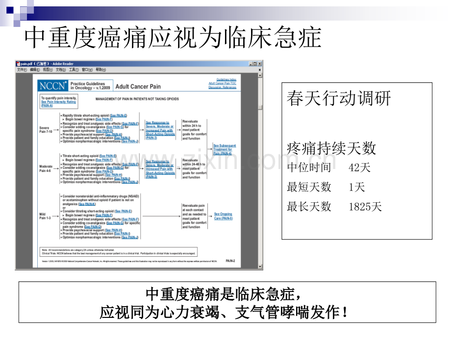 GPM癌痛规范化治疗.pptx_第3页